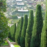 Baha'i Shrine