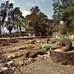 Capernaum