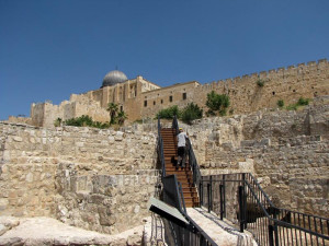 City of David