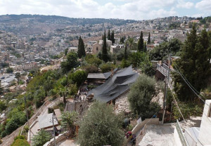 City of David