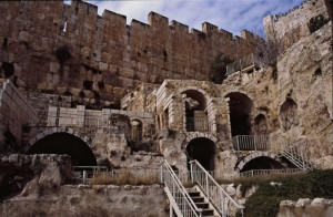 City of David