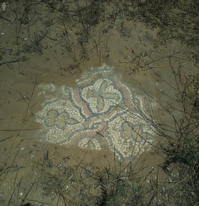 Mosaic floor uncovered at Kathisma (Gabrielw.tour / Wikimedia)