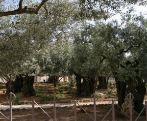 Gethsemane