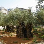 Gethsemane