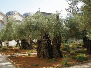 Gethsemane