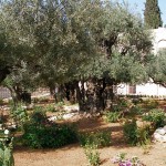 Gethsemane