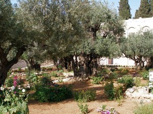 Gethsemane