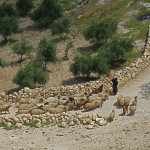 Herodium