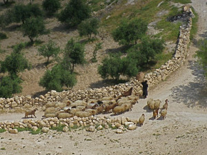 Herodium