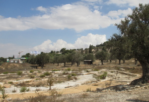 Kathisma church site, looking to the north-east (Seetheholyland.net)