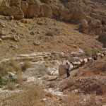 Mar Saba