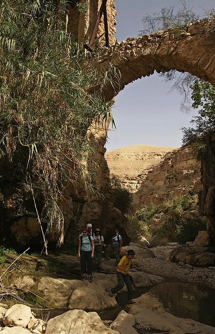 wadi qelt tour