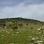 Mount Carmel