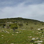 Mount Carmel