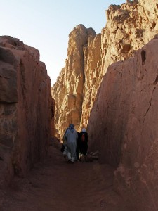 Mount Sinai