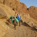 Mount Sinai