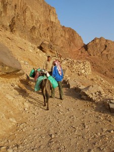 Mount Sinai