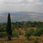 Mount Tabor