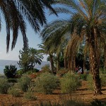 Mount of Beatitudes