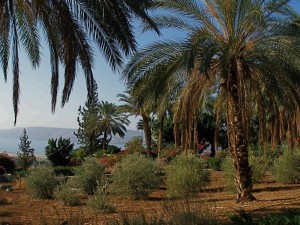 Mount of Beatitudes