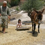 Nazareth Village
