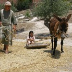 Nazareth Village