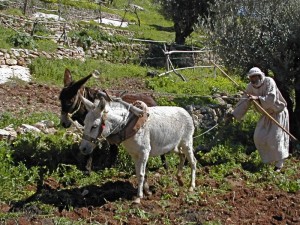 Nazareth Village