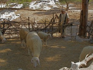 Nazareth Village