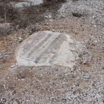 Fragment of floor mosaic uncovered at Kathisma (Seetheholyland.net)