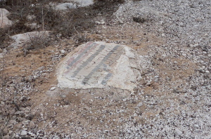 Fragment of floor mosaic uncovered at Kathisma (Seetheholyland.net)