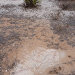 Floor mosaic uncovered at Kathisma (Seetheholyland.net)