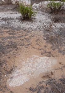 Floor mosaic uncovered at Kathisma (Seetheholyland.net)