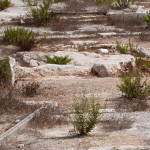 Weeds surround the low rock on which Mary is believed to have rested (Seetheholyland.net)