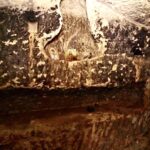 Devotional pictures in the family tomb at Salome's Cave. (©️Emil Eljam / Israel Antiquities Authority)