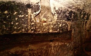 Devotional pictures in the family tomb at Salome's Cave. (©️Emil Eljam / Israel Antiquities Authority)