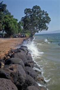 Sea of Galilee