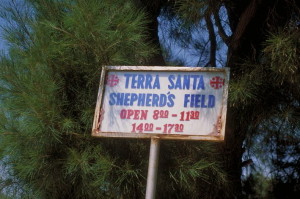 Shepherds' Field
