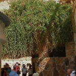 St Catherine's Monastery