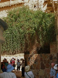 St Catherine's Monastery