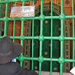 Tombs of the Patriarchs