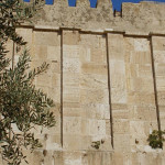 Tombs of the Patriarchs